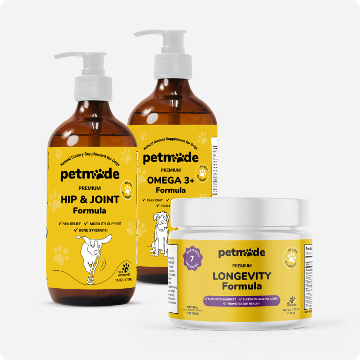 Essential Start Bundle by PetMade