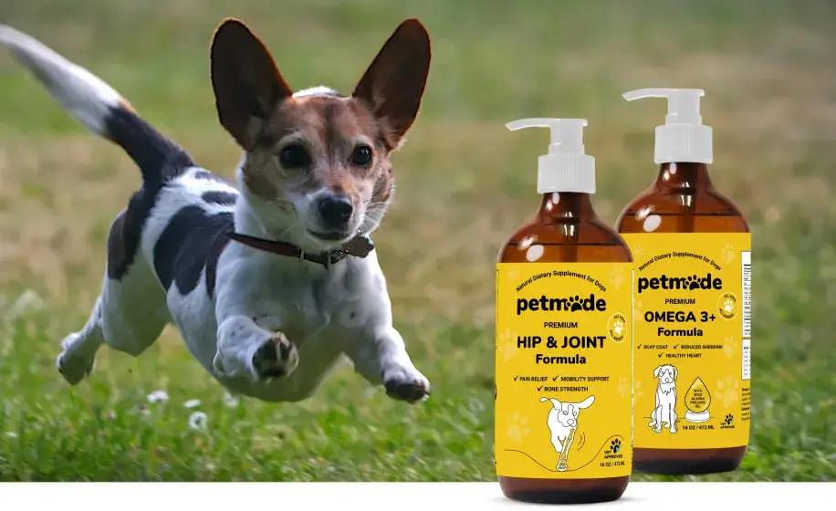 Small dog running outdoors with PetMade Hip & Joint and Omega 3+ supplements in foreground