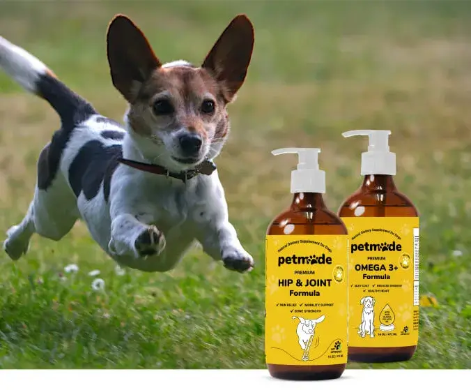Small dog running outdoors with PetMade Hip & Joint and Omega 3+ supplements in foreground