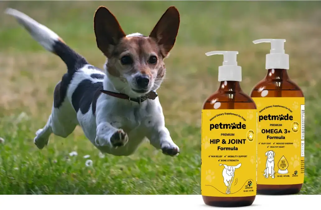 Small dog running outdoors with PetMade Hip & Joint and Omega 3+ supplements in foreground