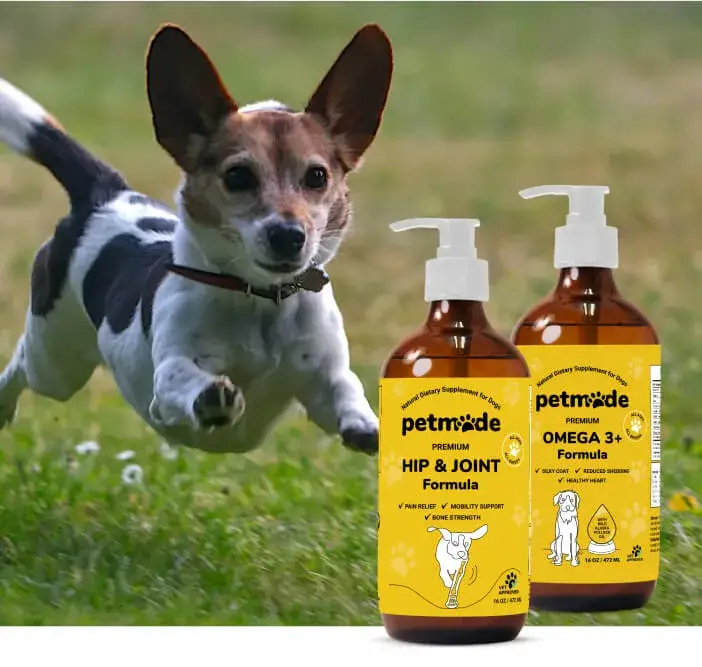 Small dog running outdoors with PetMade Hip & Joint and Omega 3+ supplements in foreground