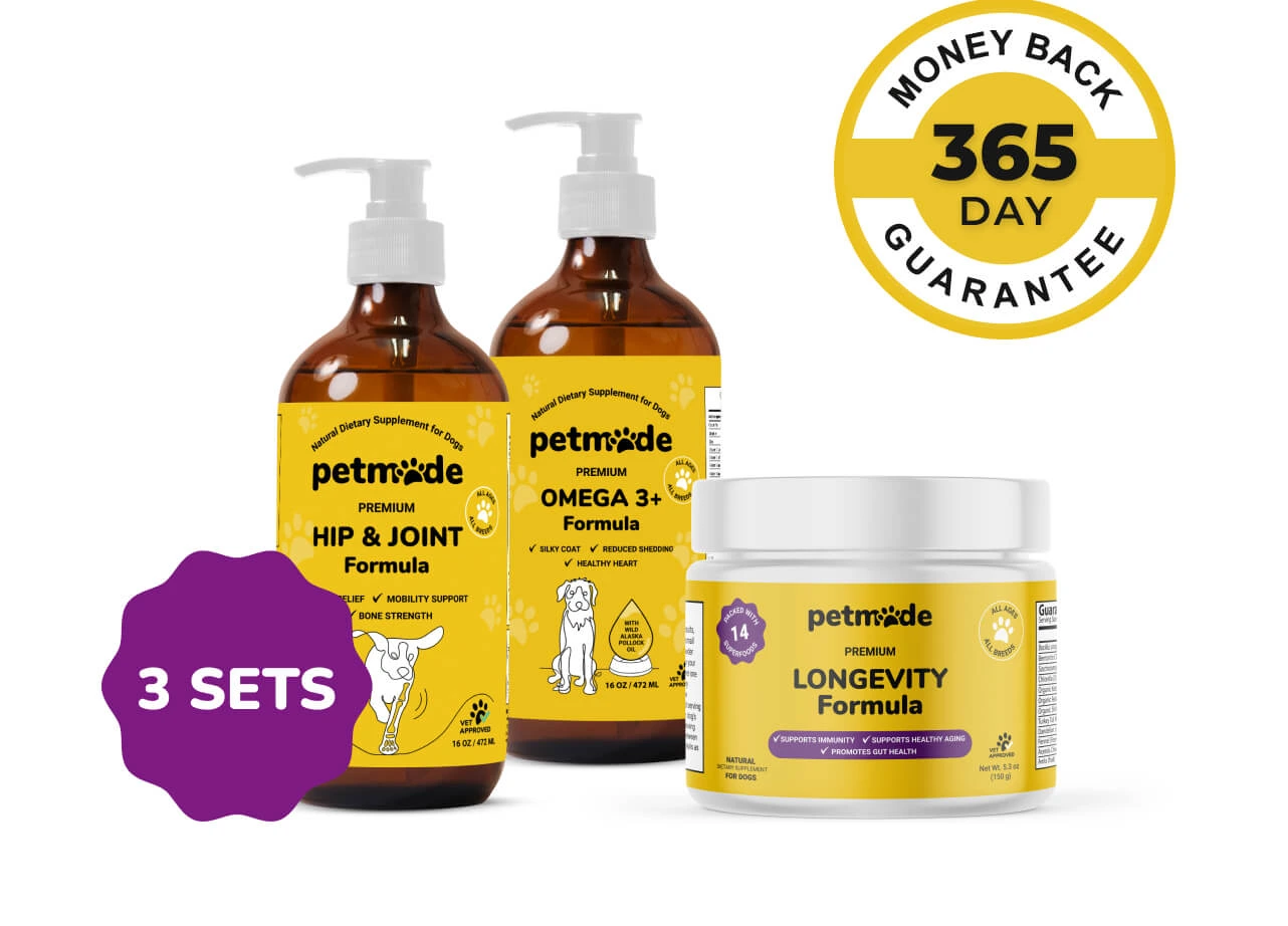 Essential Start Bundle 3 Sets