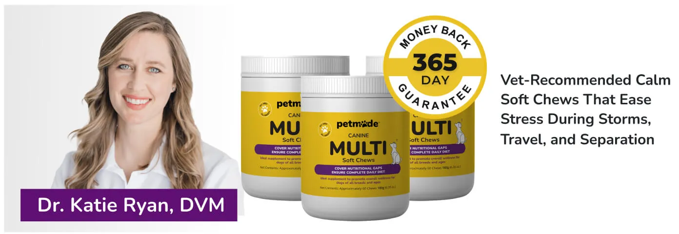 PetMade Calm Soft Chews banner with Dr. Katie Ryan