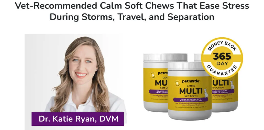 PetMade Calm Soft Chews banner with Dr. Katie Ryan