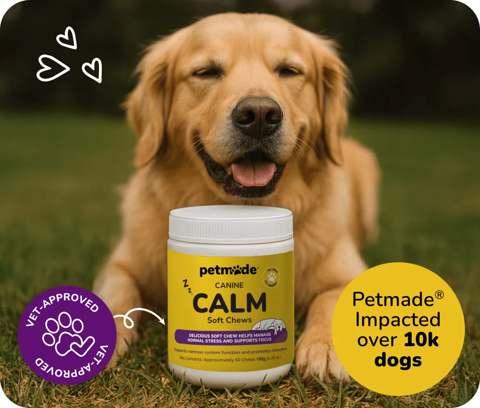 Golden Retriever with PetMade® Calm Soft Chews jar on grass