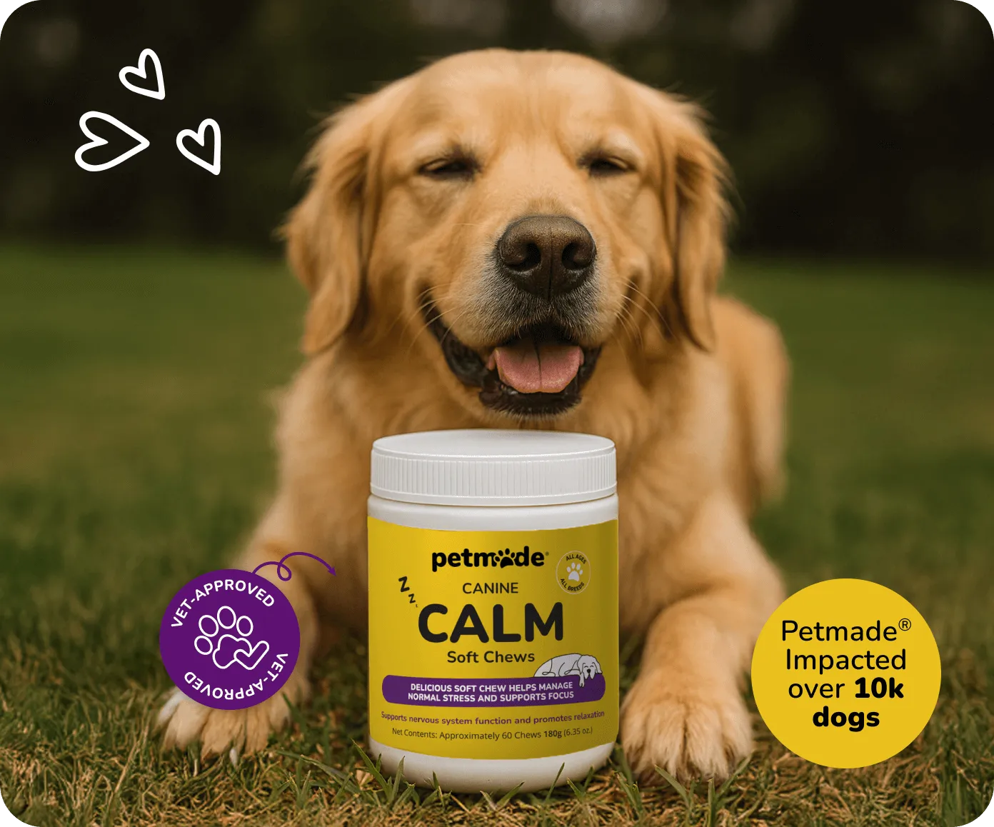 Golden Retriever with PetMade® Calm Soft Chews jar on grass