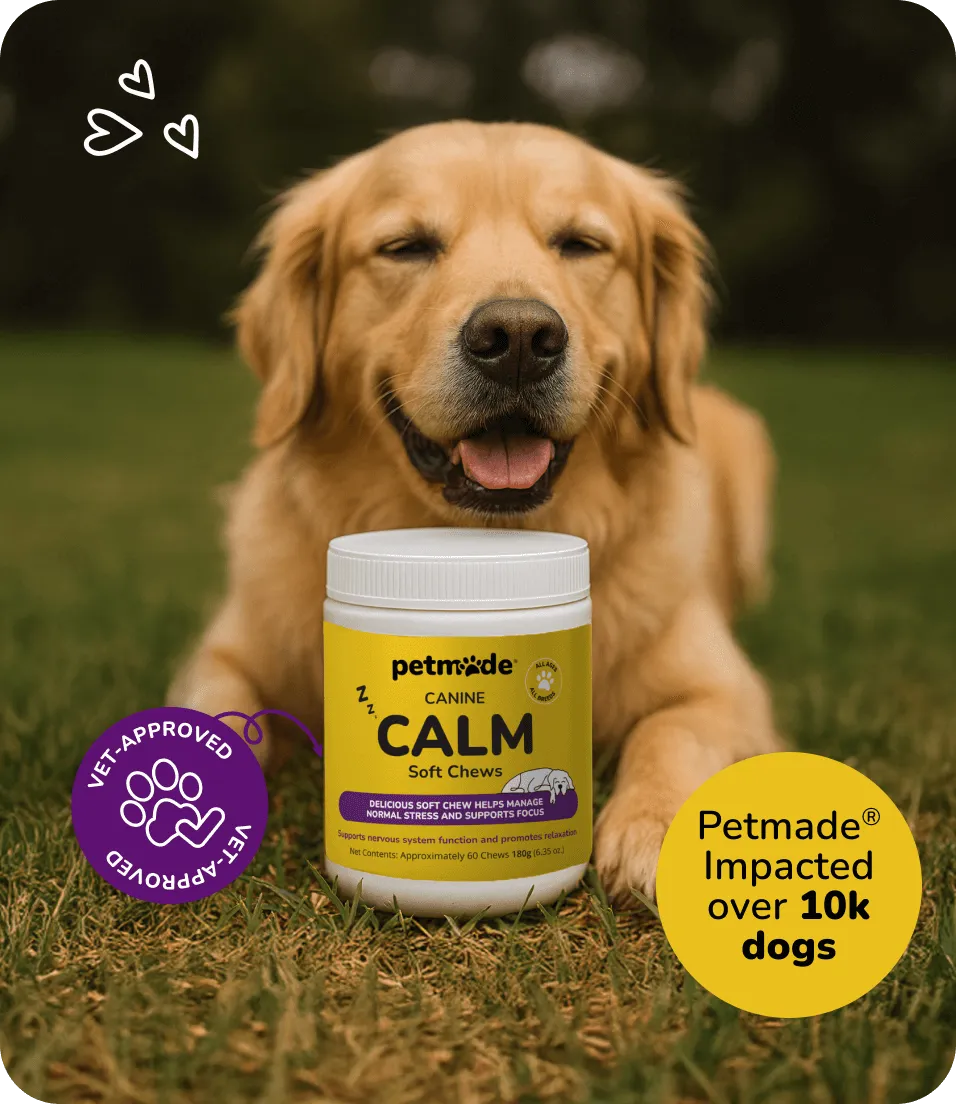 Golden Retriever with PetMade® Calm Soft Chews jar on grass
