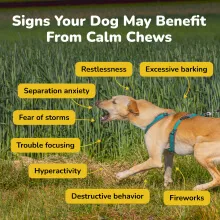 Stress signs that Calm Chews may help ease