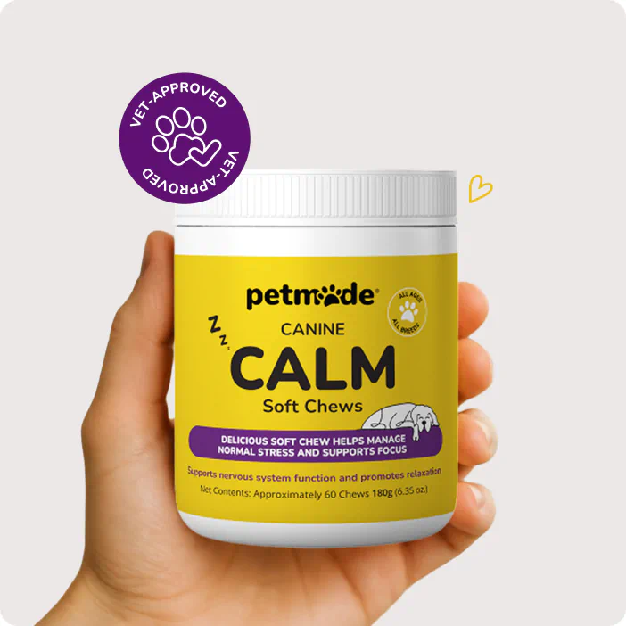 Hand holding PetMade Calm Soft Chews - a calming supplement for dogs