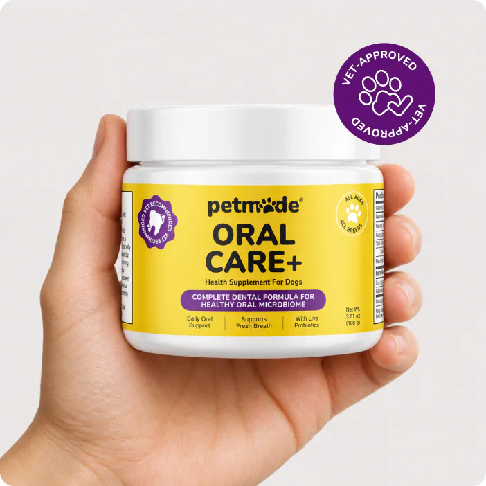 Hand holding PetMade Oral Care+ dental powder for dogs