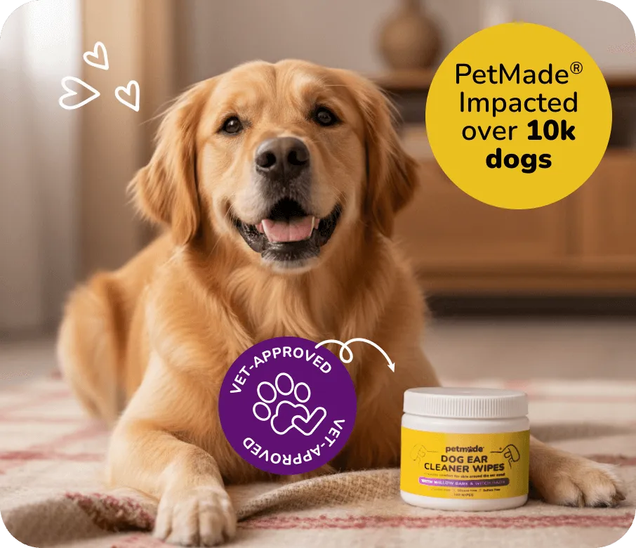 Golden retriever lying beside PetMade Dog Ear Cleaner Wipes container