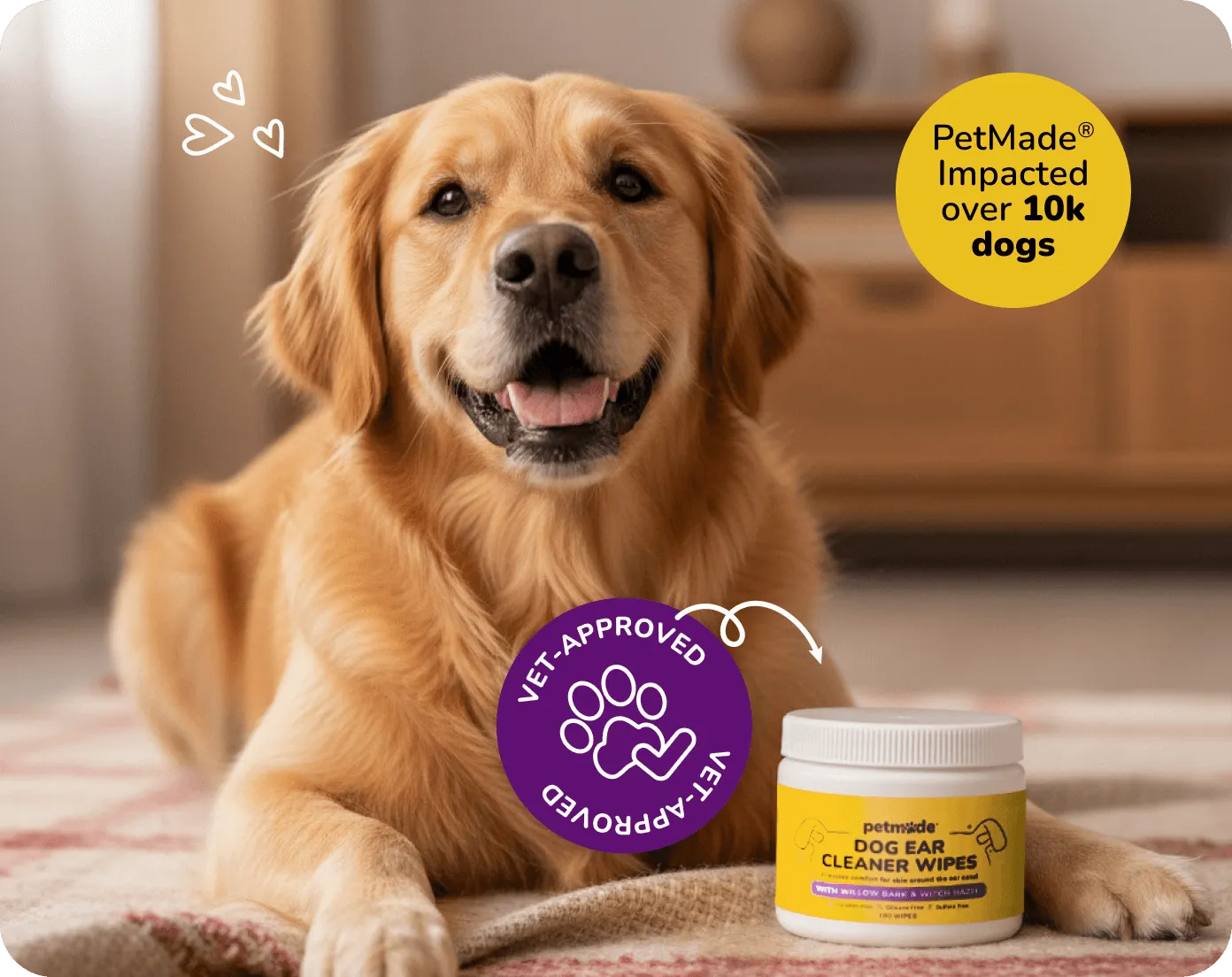 Golden retriever lying beside PetMade Dog Ear Cleaner Wipes container