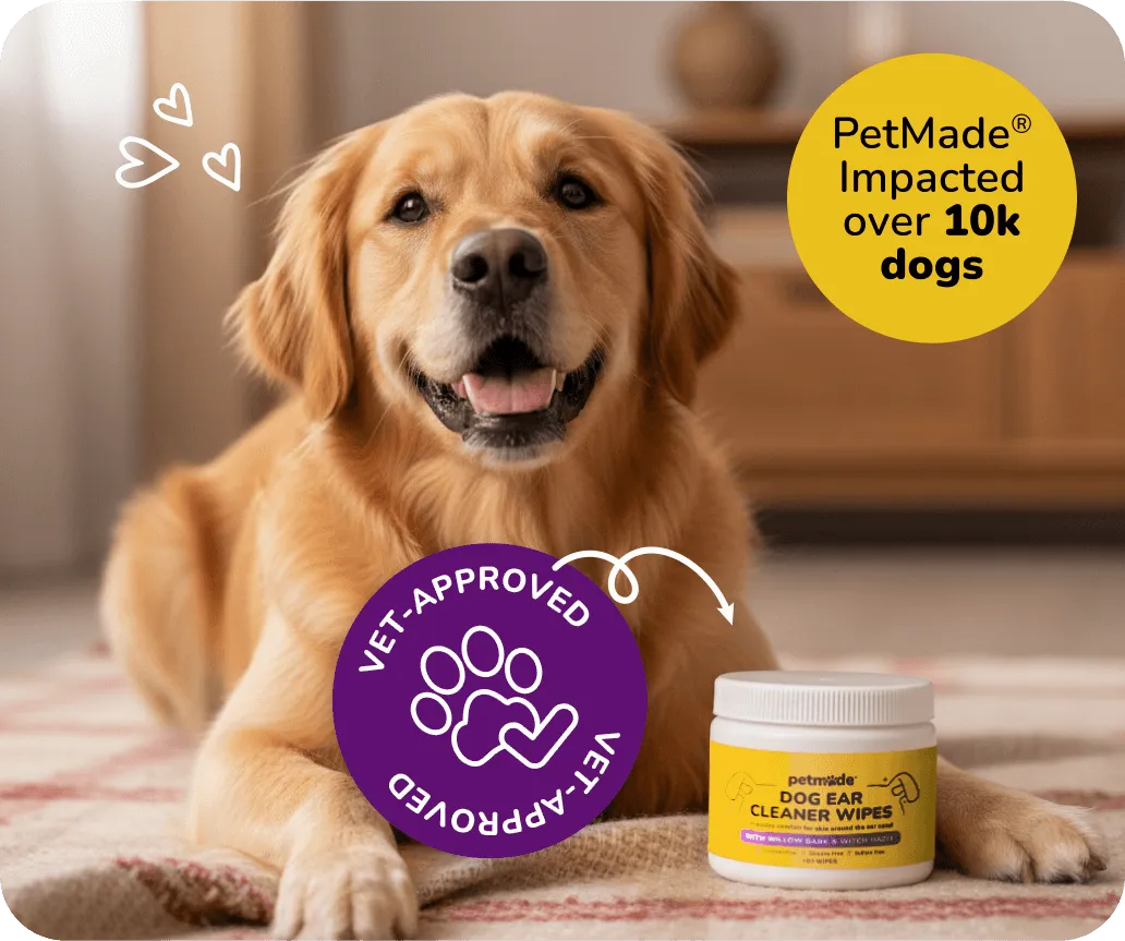Golden retriever lying beside PetMade Dog Ear Cleaner Wipes container