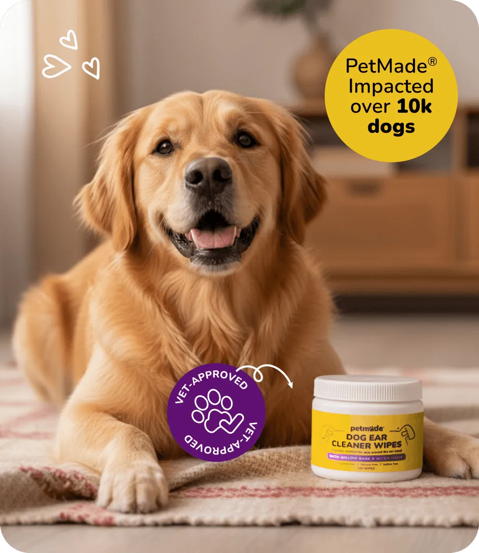 Golden retriever lying beside PetMade Dog Ear Cleaner Wipes container