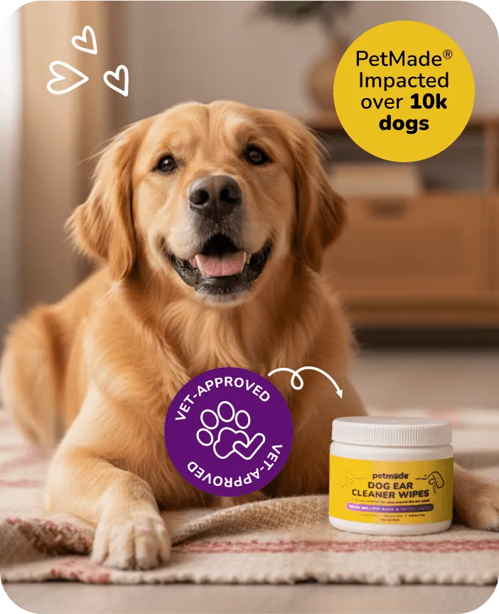 Golden retriever lying beside PetMade Dog Ear Cleaner Wipes container