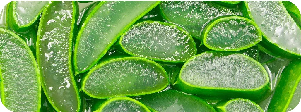 383