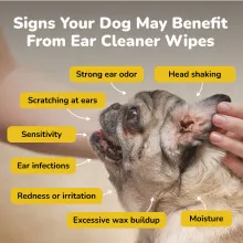Signs to use ear cleaning wipes for dogs