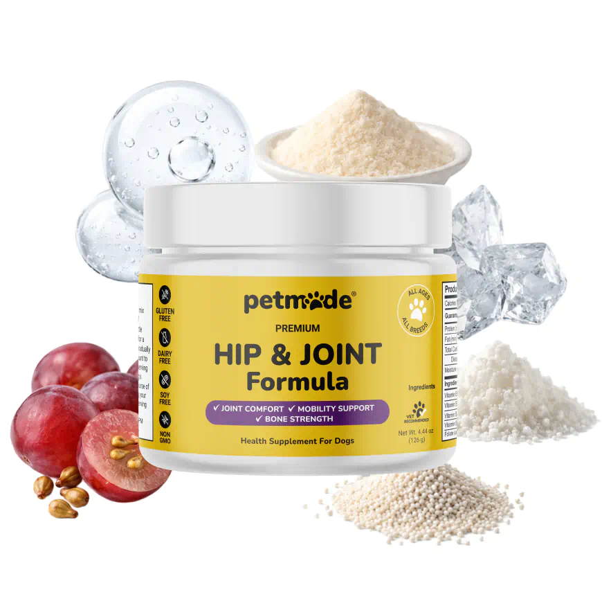 A jar of PetMade Premium Hip & Joint Formula for dogs with ingredients displayed around it