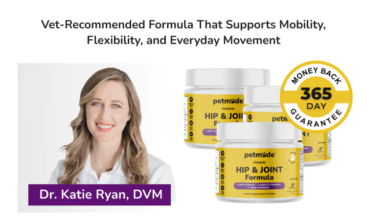 PetMade Hip and Joint banner with Dr. Katie Ryan