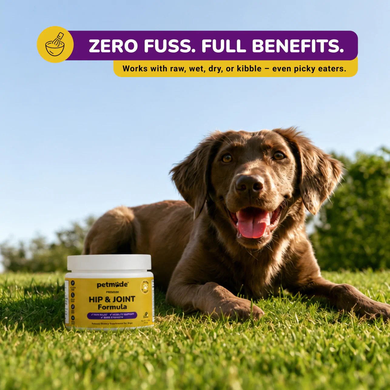 A dog lying on the grass next to a jar of Hip & Joint Formula