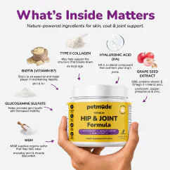 Infographic of the key ingredients in Hip & Joint Formula