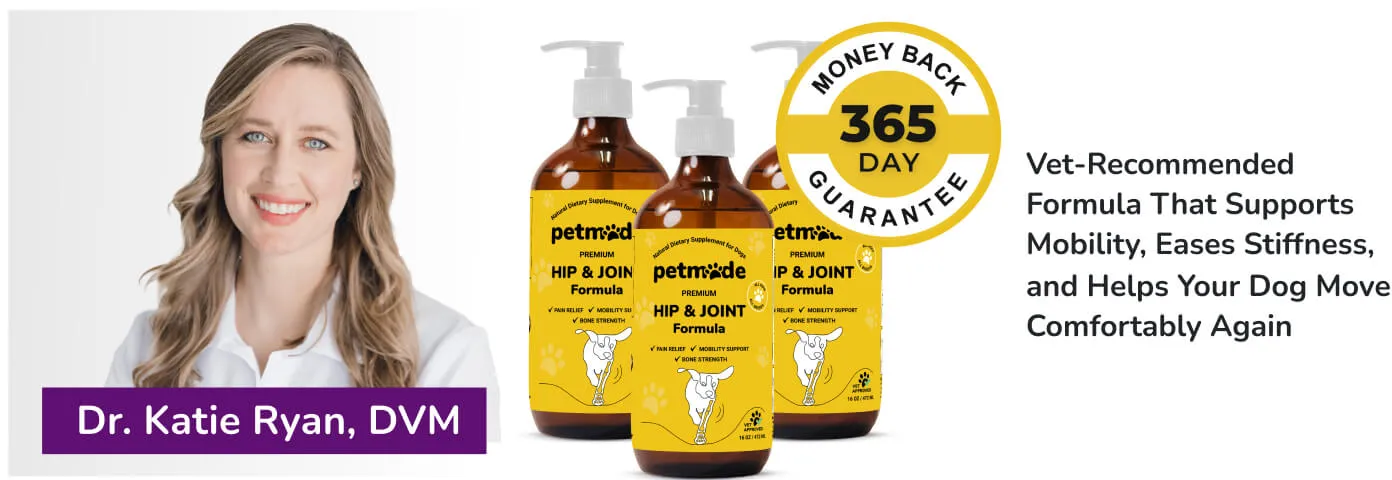 PetMade Hip and Joint banner with Dr. Katie Ryan