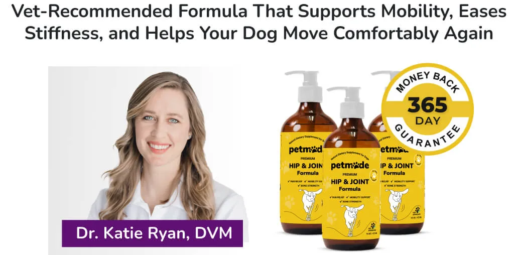 PetMade Hip and Joint banner with Dr. Katie Ryan