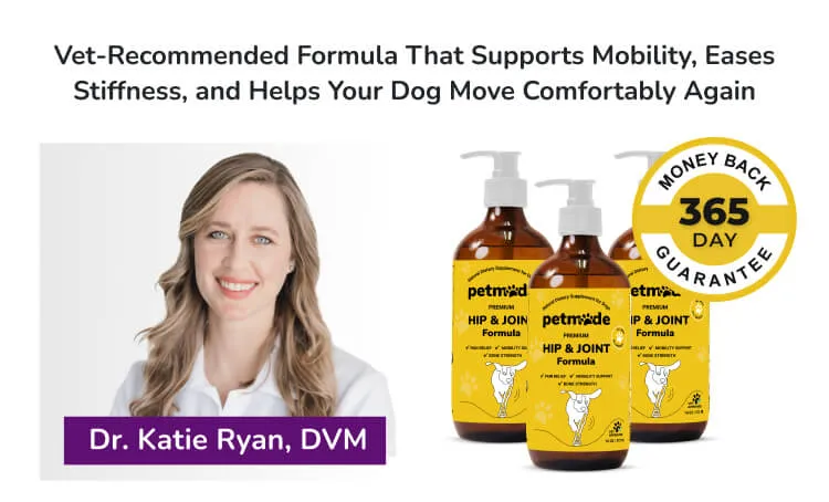 PetMade Hip and Joint banner with Dr. Katie Ryan