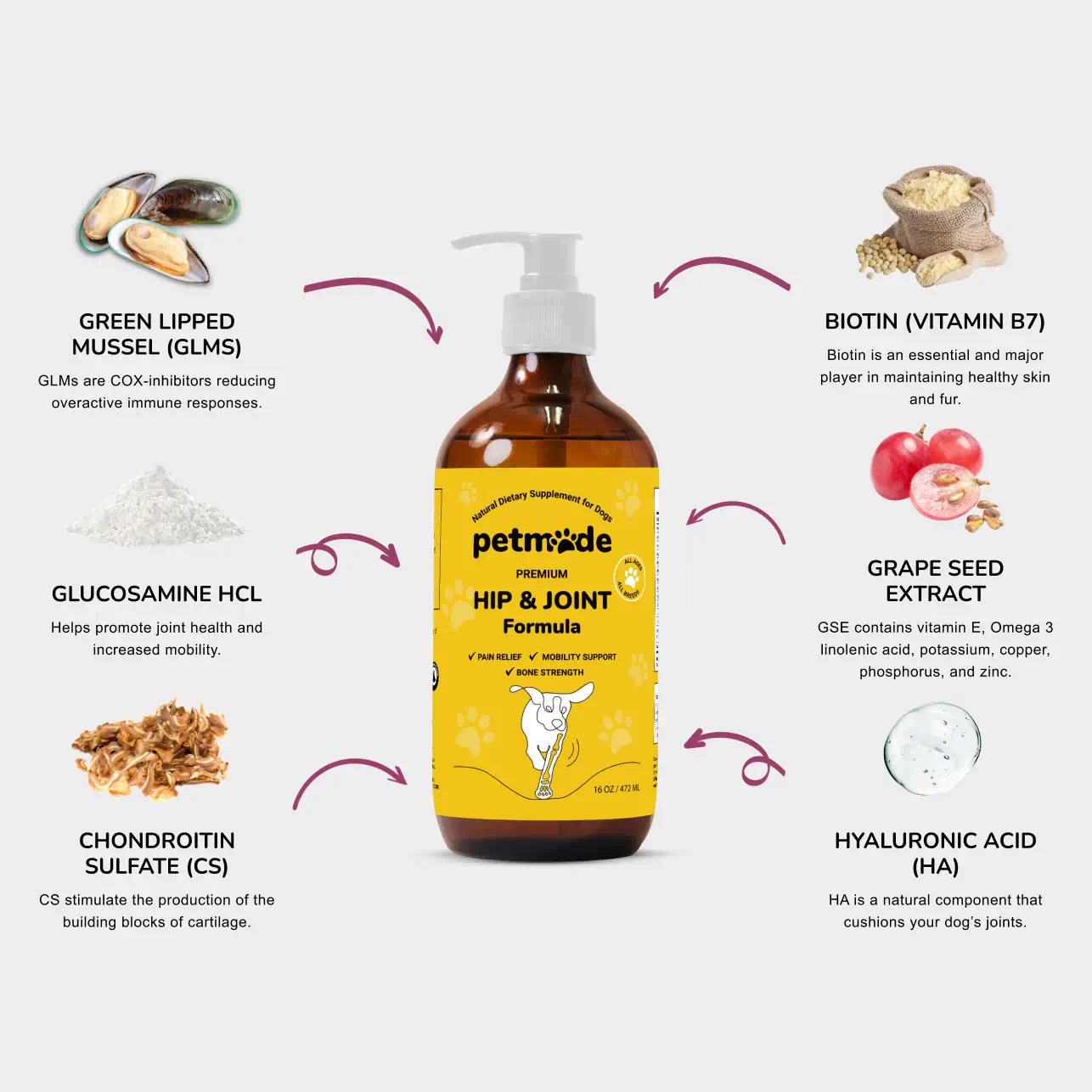 Infographic of ingredients used in the product