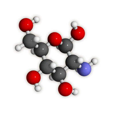 Molecular structure model of Glucosamine Sulfate