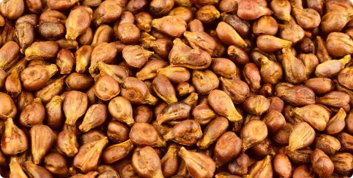 Close-up of dried grape seeds spread out in a pile