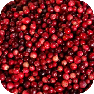 Close-up of cranberries used for urinary support