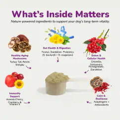 An infographic with images and descriptions of various blends for pet health