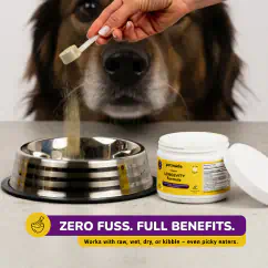 Golden Retriever holding a Longevity Formula supplement jar in its mouth.