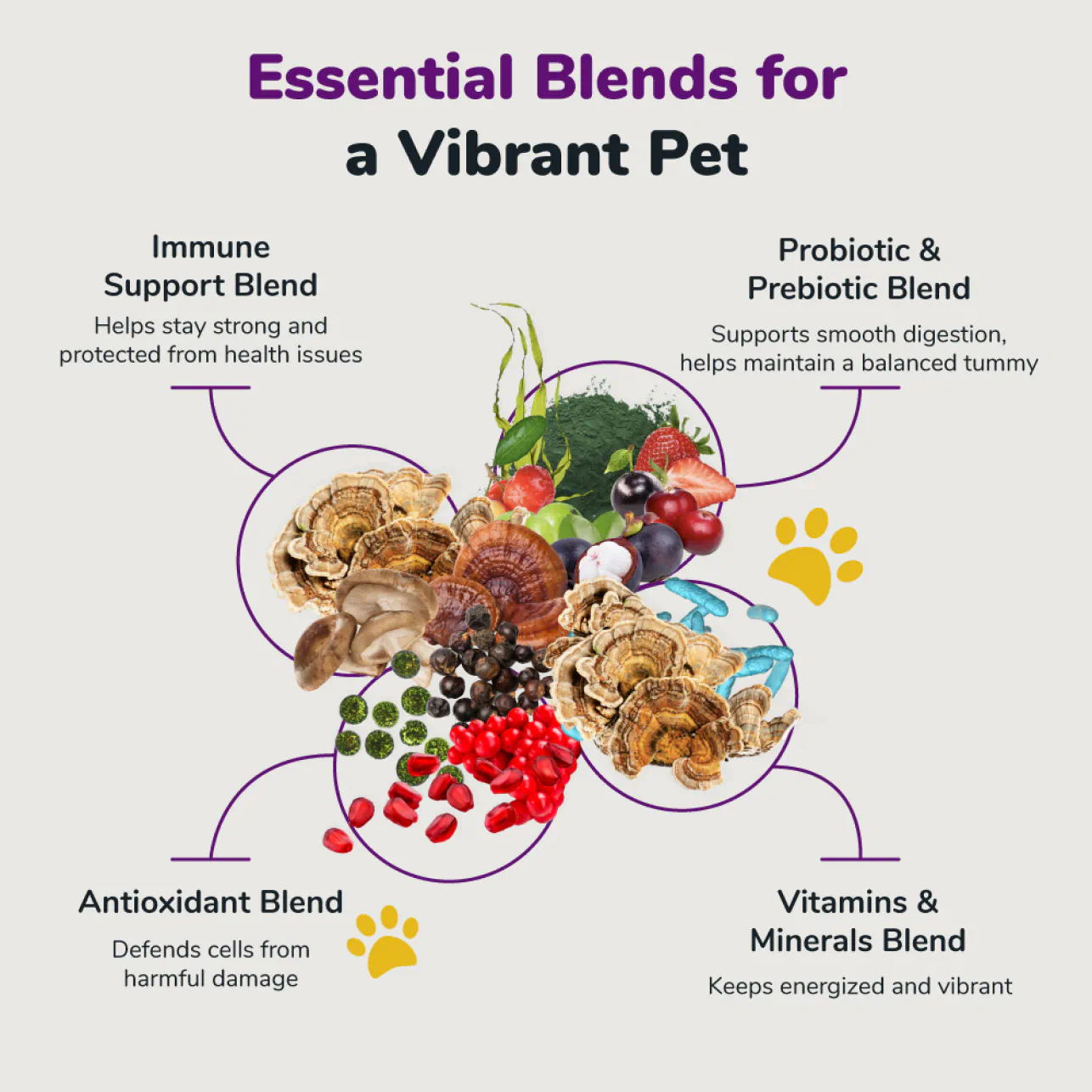 An infographic with images and descriptions of various blends for pet health