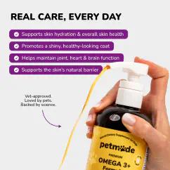 Infographic of ingredients used in the product