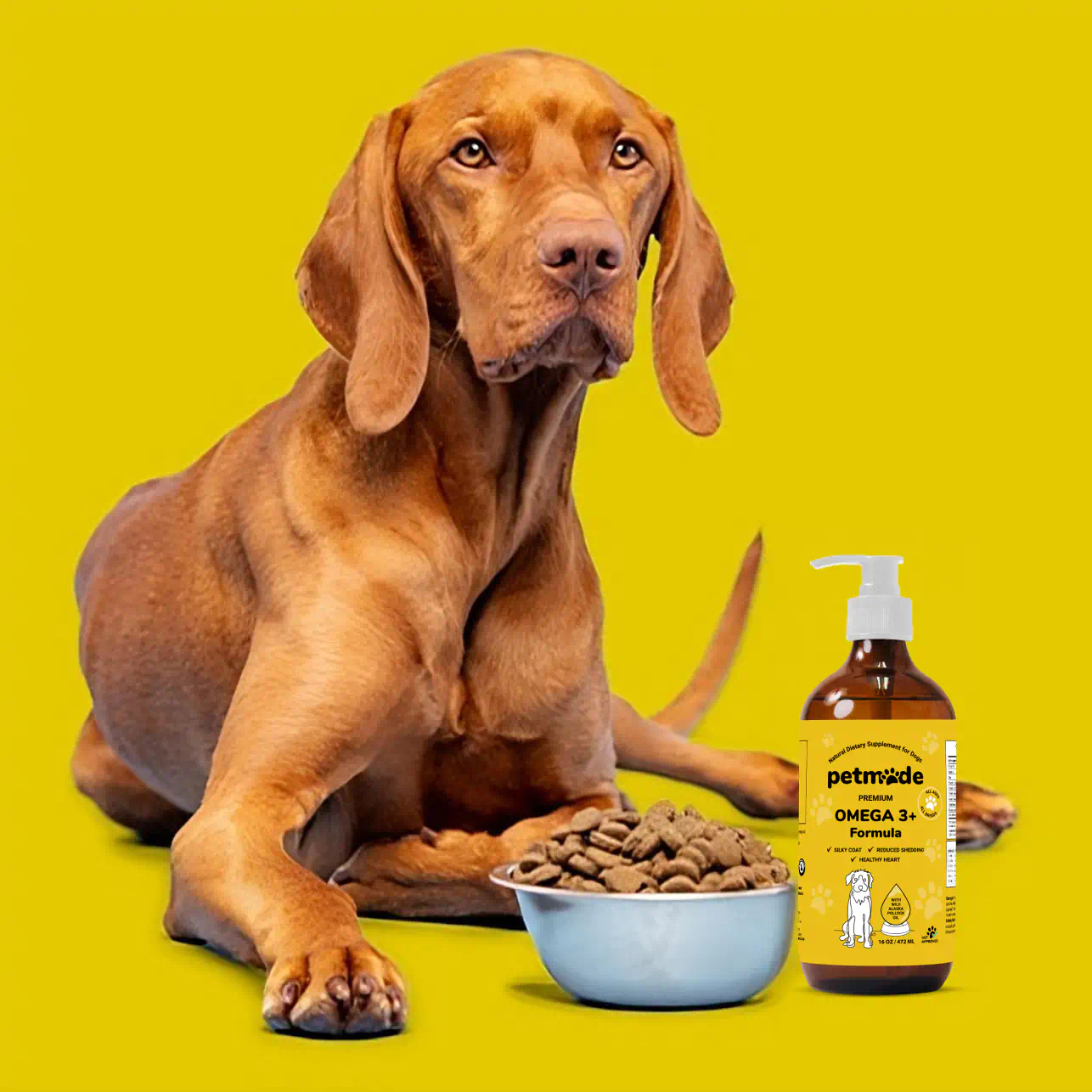 A brown dog sitting beside a bowl full of kibble and a bottle of Omega 3+