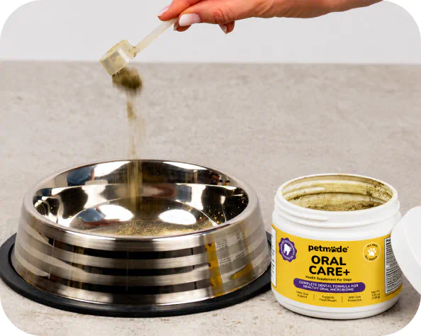 Scooping PetMade Oral Care+ powder into a dog food bowl