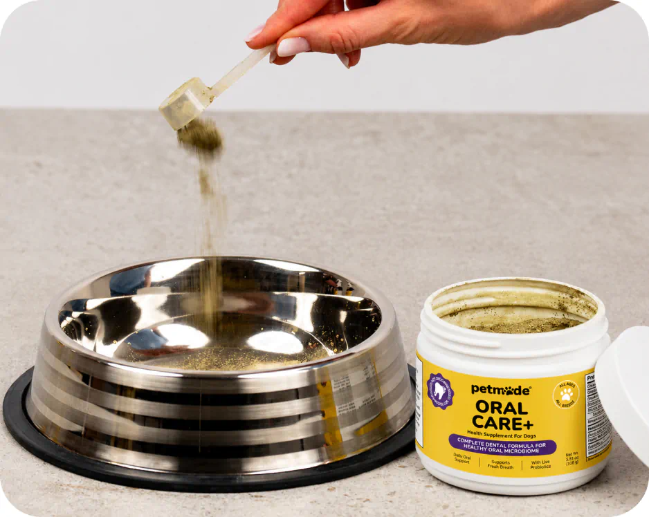 Scooping PetMade Oral Care+ powder into a dog food bowl