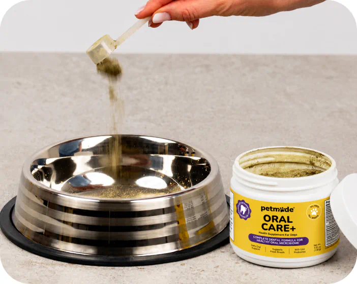 Scooping PetMade Oral Care+ powder into a dog food bowl
