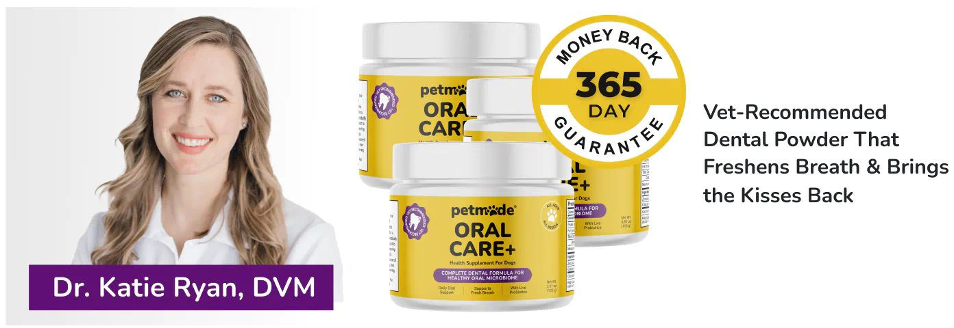 Dr. Katie Ryan, DVM, with PetMade dog dental powder