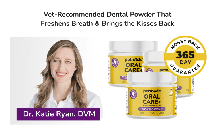 Dr. Katie Ryan, DVM, with PetMade dog dental powder