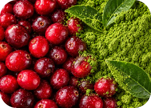 Fresh cranberries next to organic matcha powder