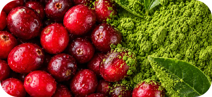 Fresh cranberries next to organic matcha powder