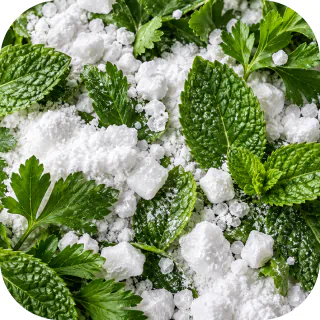 Baking soda with fresh peppermint and parsley leaves