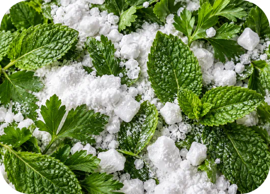 Baking soda with fresh peppermint and parsley leaves
