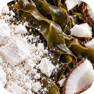 Calcium carbonate powder with kelp and coconut