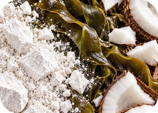 Calcium carbonate powder with kelp and coconut