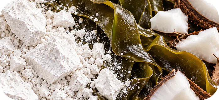 Calcium carbonate powder with kelp and coconut