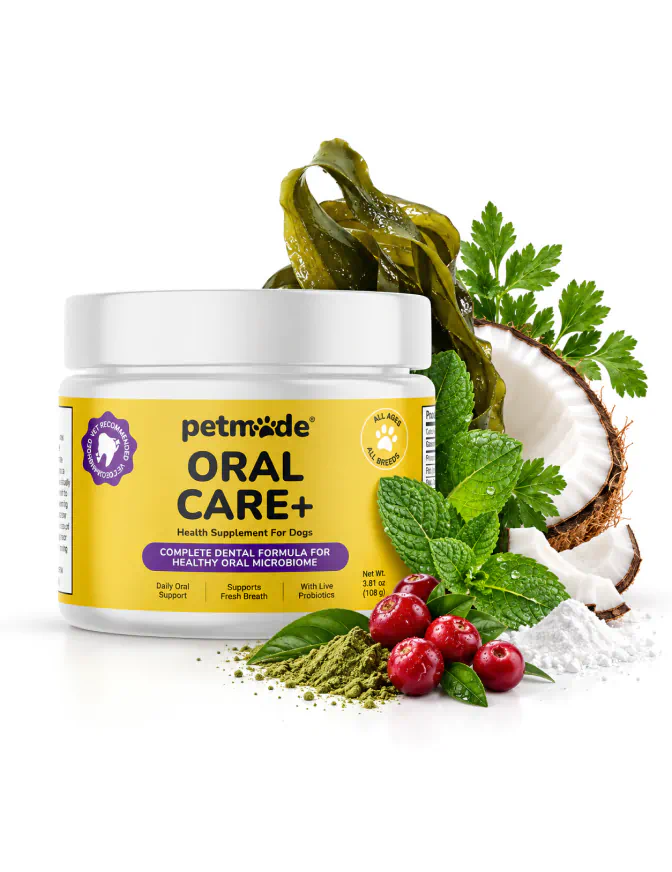 Dog teeth cleaning powder with kelp, coconut, mint and cranberries